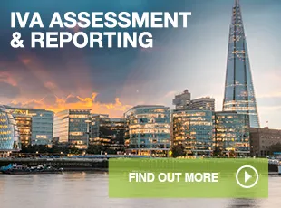 iva investment reporting